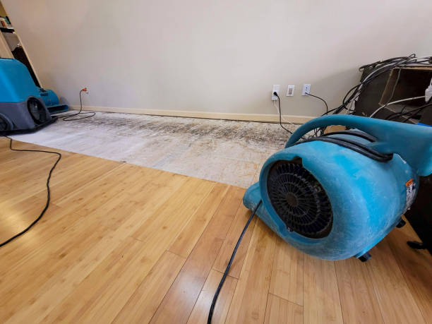 Professional Water Damage Repair technician working in Olathe, KS
